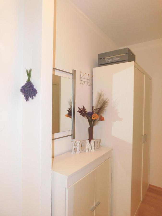 דירות לובליאנה Apartma Minas מראה חיצוני תמונה
